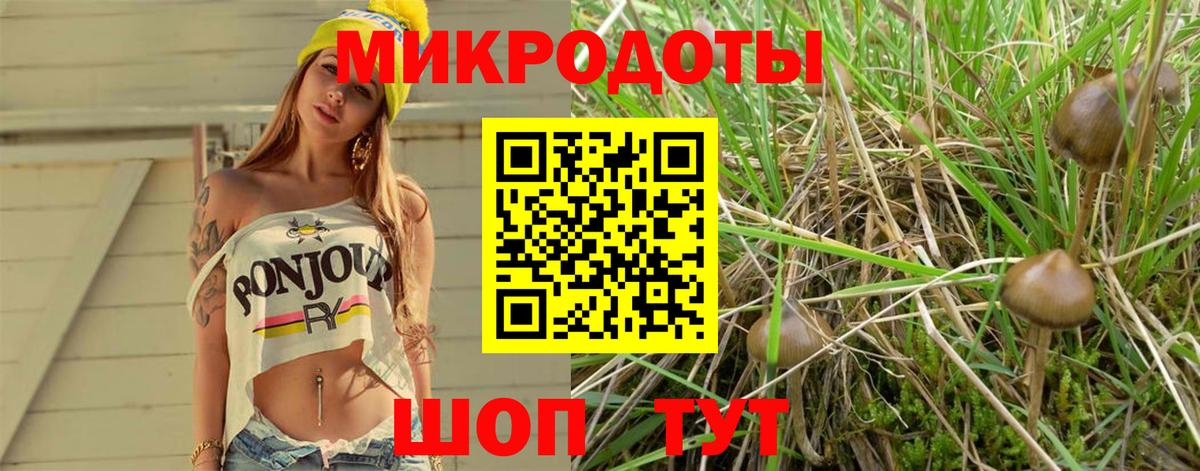 Галлюциногенные грибы ЛСД  где купить   Среднеуральск  Вход с VPN 