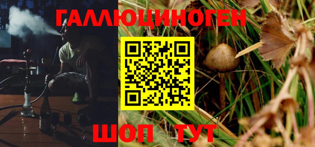 Галлюциногенные грибы MAGIC MUSHROOMS Среднеуральск